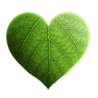 Testing for fuel consumption and CO2 emissions